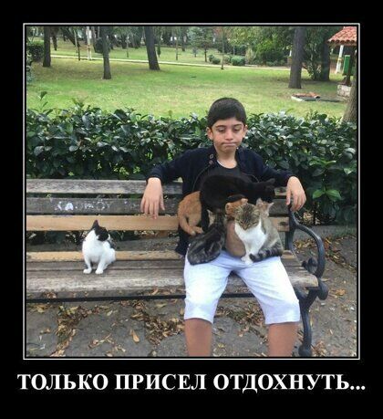 ТОЛЬКО ПРИСЕЛ ОТДОХНУТЬ