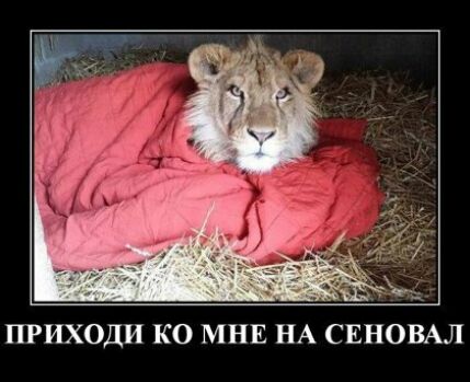 ПРИХОДИ КО МНЕ НА СЕНОВАЛ