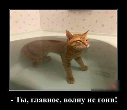 Ты главное волну не гони