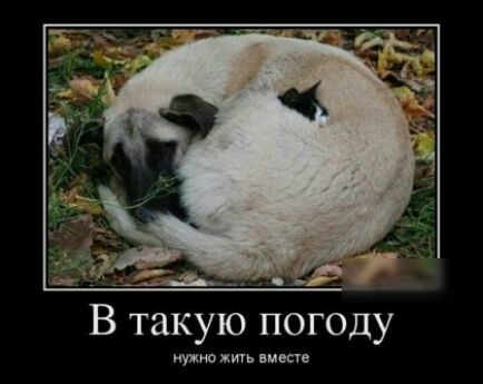 В такую погоду пише