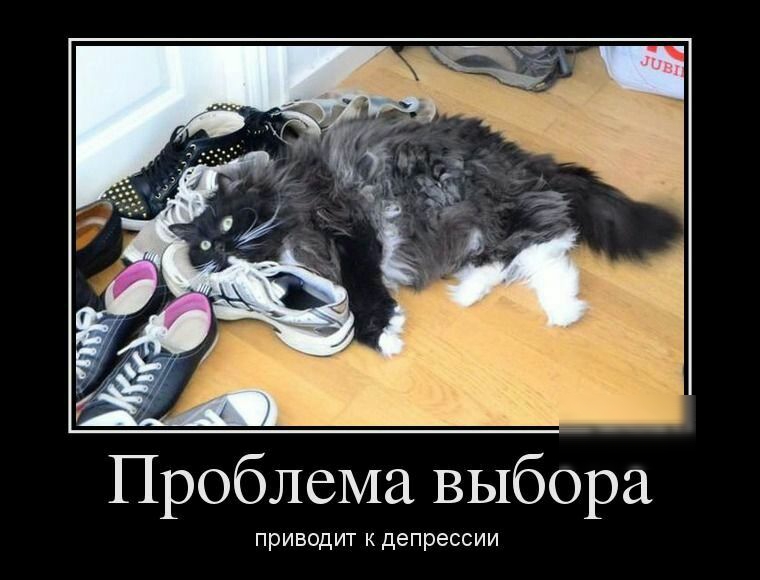 Проблема выбёра ПрИБОДИТ К депрессии