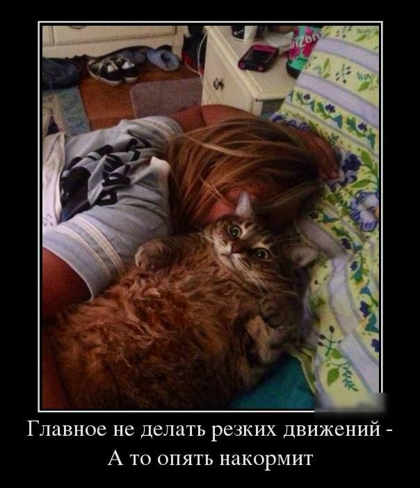 Главное не делать РЁЗКИХ ДВИЖЕНИЙ А ТО ОПЯТЬ НаКОРМИТ