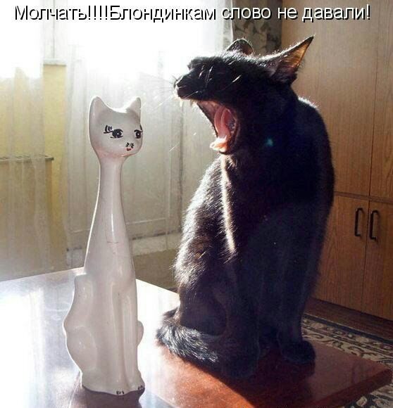 Мопчать