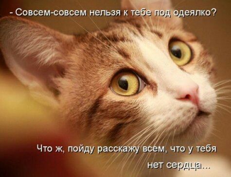 Совсемсовсем нельзя к Ытеяпко всём что у Тебя Что ж пойду расска