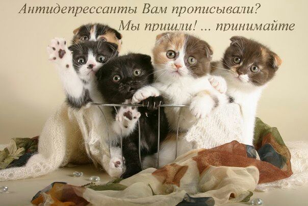 Антидепрессанты Вам ИРОИНСЬПКЪП Мы пришли принимайте