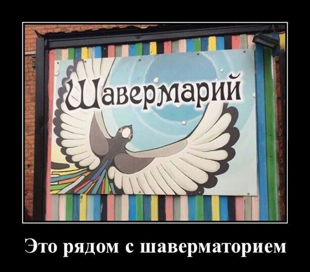 Это рядом с шаверматорием