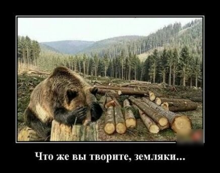 д__ Что же вы творите Земляки