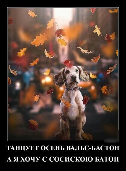 ТАНЦУЕТ ОСЕНЬ ВАЛЬСБАСТОН А Я ХОЧУ С СОСИСКОЮ БАТОН