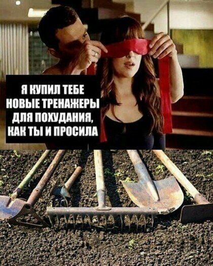 пишиш ипвытіишиы длппшдшип Ёитыиптш _