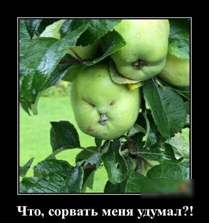 Ч_т0 сорвать меня удумил