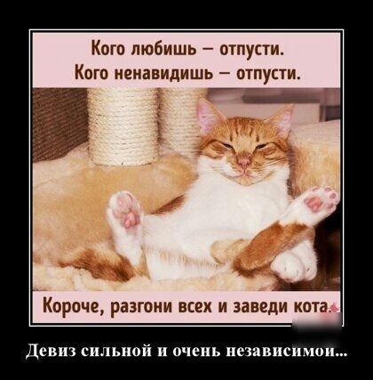 Кого любишь отпусти КОГО НЕНВЕИДИШЬ _ ОТПУСТИ Короче разгони всех и заведи кота Девиз сильной и очень независимо