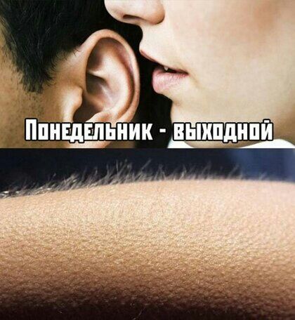 ци_дш_ьиик в
