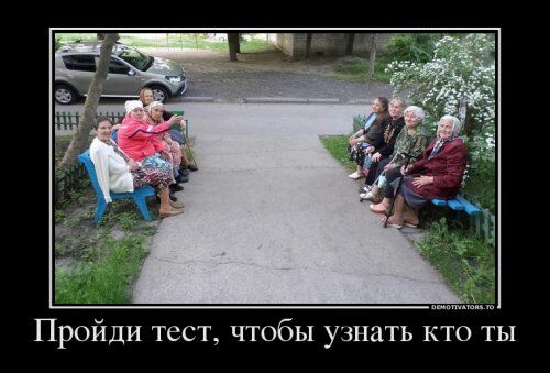 Пройди тест чтобы узнать кто ты