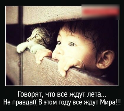 Говорят что все ждут лета Не правда В этом году все ждут Мира