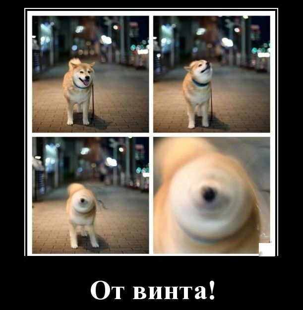 От винта