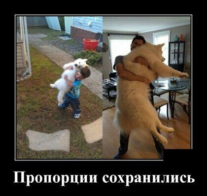 Пропорции сохранились