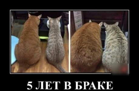 э в 5 ЛЕТ В БРАКЕ