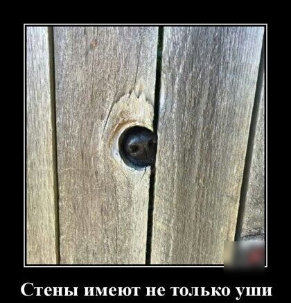 Стены имеют не ТОЛЬКО уши