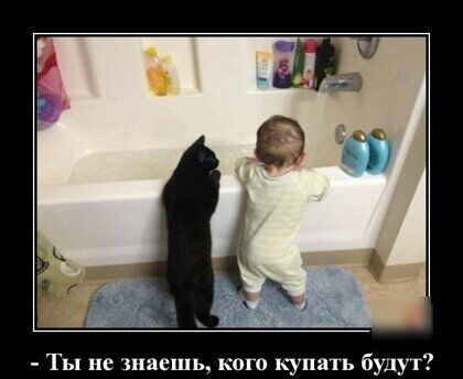 Ты не знаешь кого купать будут