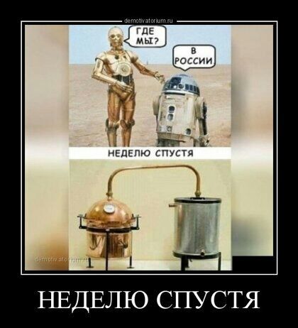 НЕДЕЛЮ СПУСТЯ
