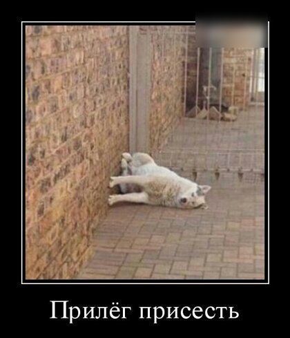 Прилёг присесть