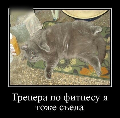 Тренера по фитнесу я тоже съела