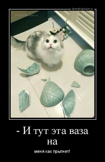 И тут эта ваза на меня как прыгнет