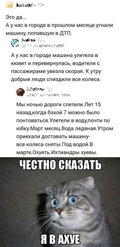 шт Это да А у нас в городе в прошлом месяце угнали машину попавшую в ДТП на А у нас в городе машина улетела в кювет и перевернулась водителя с пассажирами увезла скорая К утру добрые люди спиздили все колеса чо ч Мы ночью дороги спетепиЛеТ 15 иазадмогда бэхой 7 можно было понтоватьсяУлетели в водулочти по юбкуМарт месяцВода педянаяУтром приехали доставать машину все колеса снятыЛод водойв марте0ху