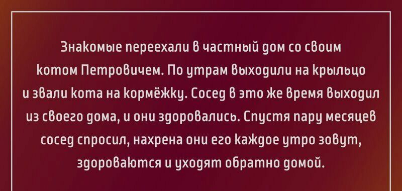 ЗнаКомые переехали В частный дом со сВоим Котом Петровичем По утрам Выхпцили на Крыльцо и зВали Кота на КормёЖКу Сосед В это Ке Время Выходил из сВоего 90ма и они зуоробались Спустя пару месяцев сосед спросил нахрена они его КаЖ9ое утро зоВут здоровается и цховят обратно домой