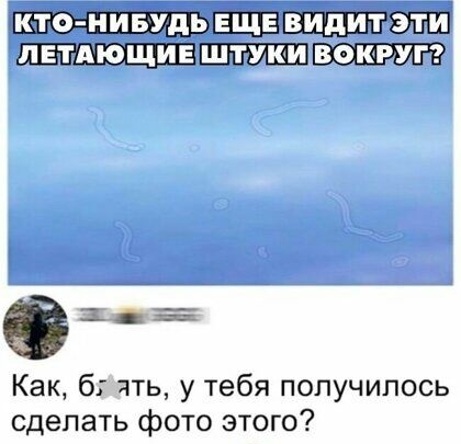 ЕШЁШШШЭЩП Эдда Как б чть у тебя получилось сделать фото этого