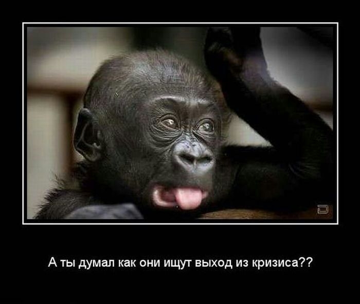 А ты думал как они ищут выход из кризиса