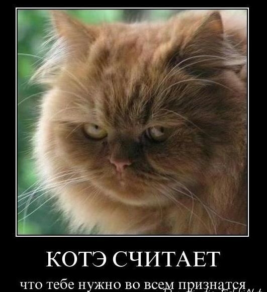 г КОТЭ СЧИТАЕТ что тебе нужно во всем признадрям А