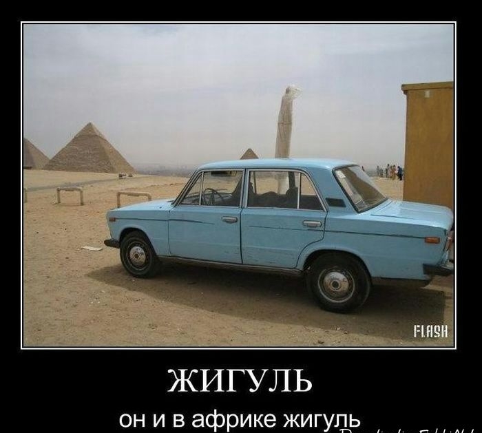 он и в африке жигупь