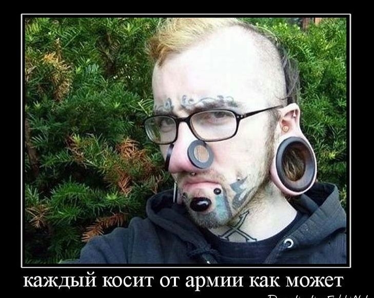 КЗЖДЫЙ КОСИТ ОТ ЭРМИИ как может