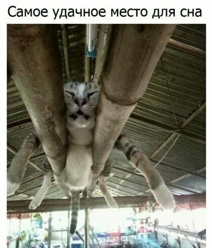 Самое УДаЧНОЕ МЕСГО ДЛЯ СНд