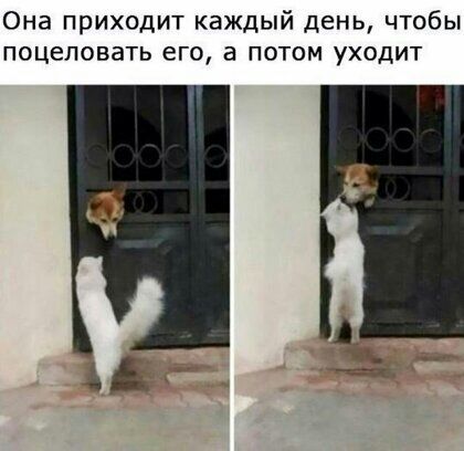 Она приходит каждый день чтобы поцеловать его а потом уходит