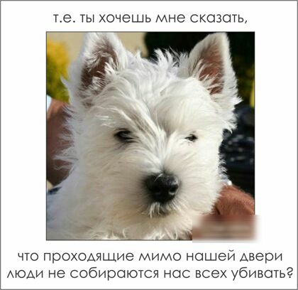 16 Ты ХОЧЭЩЬ МНЕ СКОЗСТЬ что проходящие мимо нашей двери АЮАИ не собираются нас всех убивать