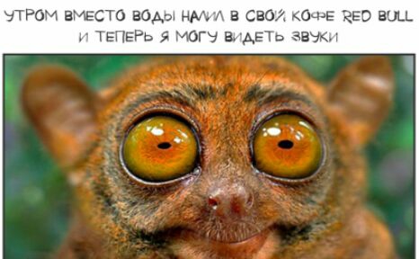 УТРОМ ВМЕСТО ВОАЫ НА Е СВО кОЧ Е ЕЕЭ НОЦ ТЕПЕРЬ гЮГі в АЕТЬ ава