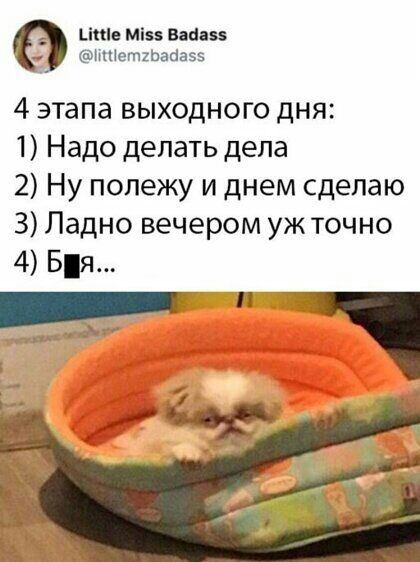 Цкіе мі Вааазз Петгьайаэз 4 этапа выходного дня 1 Надо делать дела 2 Ну полежу и днем сделаю З Ладно вечером уж точно 4 Бя