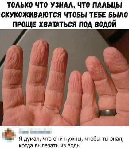 ТОЛЬКО ЧТО УЗНАЛ О ПААЬЦЫ СКУКОЖИВАЮТОЯ ЧТОБЫ ТЕБЕ БЁМО ПРОЩЕ ХВАИТЬОЯ ПОД ВОАОИ ц _ _ Я думал что оии нужны чтобы ты знал когда вылезать из воды