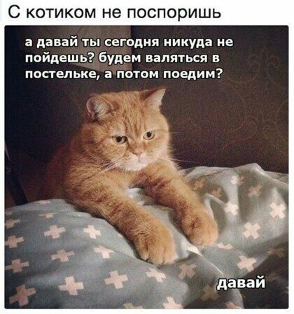 С КОТИКОМ не ПОСПОРИШЬ а давай ты сегодня никуда не пойдешь будем валяться в постельке а потом поедим