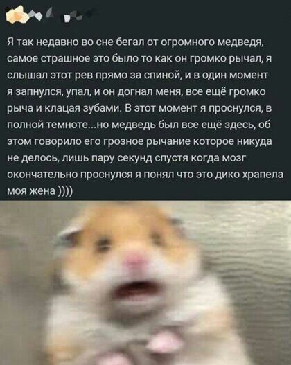 я так недавно во сне бегал от огромного медведи самое страшное это было 10 как он громко рычвл я слышал этот рев прямо за спиной и в один момент я залмулоя упал и он догнал меня все ещё громко рыча и клацая зубами в этот момент я проснулся в полной темногею медведь был все еще здесь об том говорило его грозное рычание которое никуда не делось лишь пару секунд спустя когда мозг окончательно проснул