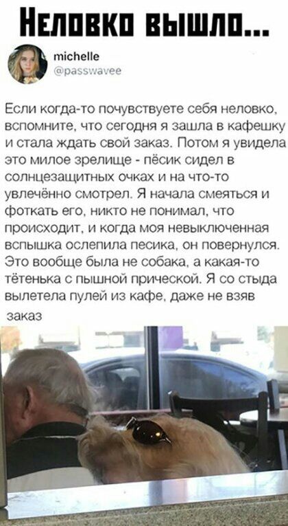 тіспепе Если когда то почувствуете себя неловко вспомните что сегодня я зашла в кафешку и стала ждать свой заказ Потом я увидела это милое зрелище пёсик сидел в солнцезащитных очках И На ЧТО ТО увлеченно смотрел Я начала смеяться и фоткать его никто не понимал что происходит и когда моя невыключенная вспышка ослепипа песика он повернулся Это вообще была не собака а какаято тётенька с пышной причес