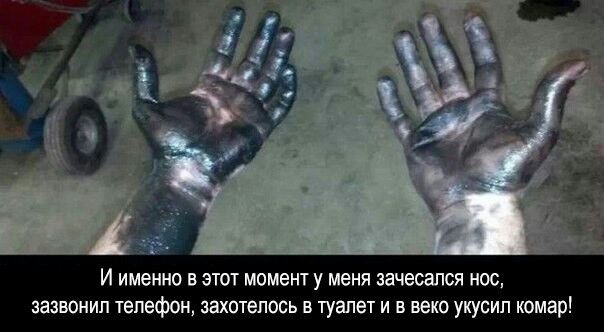 И именно в этот момент у меня зачесапся нос зазвонил телефон захотелось в туалет и в веко укусил комар