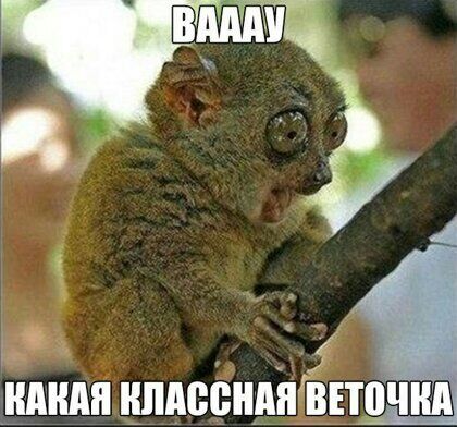 к их миля нпдеёндіпёщіщ