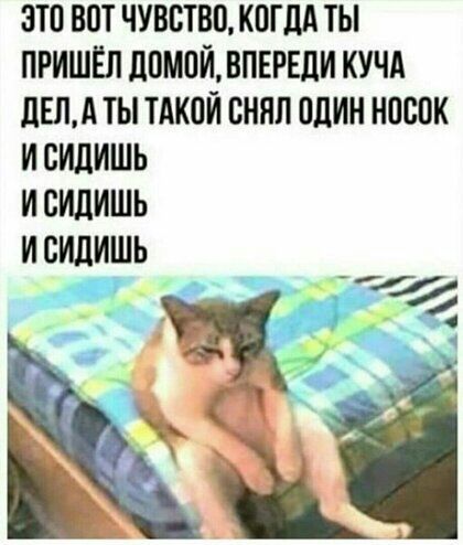 ЗЮ ВПТ ЧУВСТВО КПГДА ТЫ ПРИШЁЛ ЛПМПИ ВПЕРЕЛИ КУЧА ЛЕЛЛЫ ТАК0И БНЯЛ ШИН НПВОК И СИЛИШЬ И СИЛИШЬ И СИЦИШЬ ЁЁ