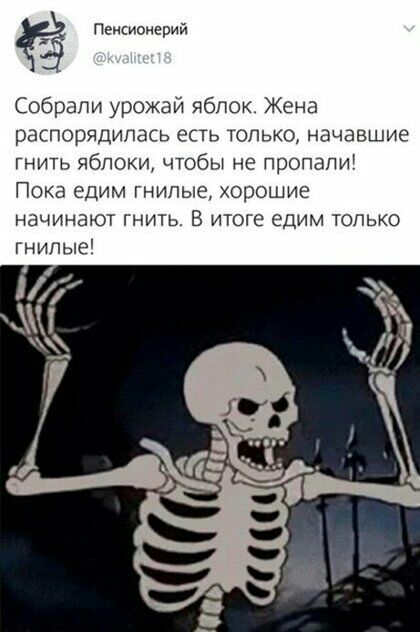 Пенсионерий Собрали урожаи яблок Жена распорядилась есть только начавшие гнить яблоки чтобы не пропали Пока едим гнилые хорошие начинают гнить В итоге едим только гнипые