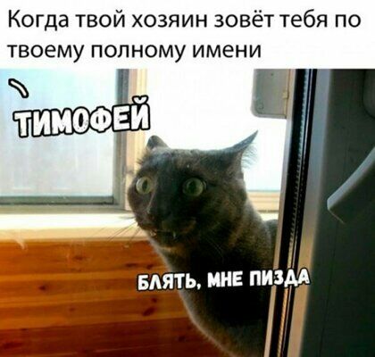 Когда твой хозяин зовёт тебя по твоему полному имени Блять ии пизди