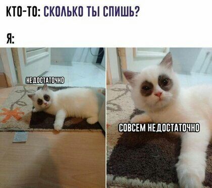 КТП Ш СКПАЬКП ТЫ ВПИШЬ