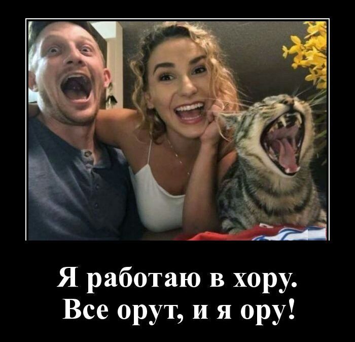 Я работаю В хору Все орут и я ору